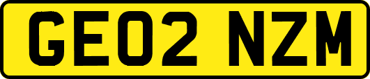 GE02NZM