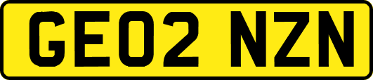 GE02NZN