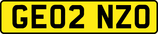GE02NZO