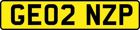GE02NZP