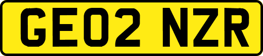 GE02NZR