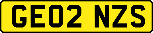 GE02NZS