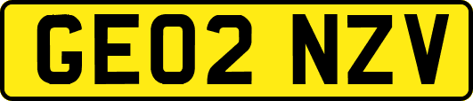 GE02NZV