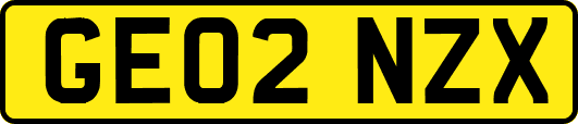 GE02NZX