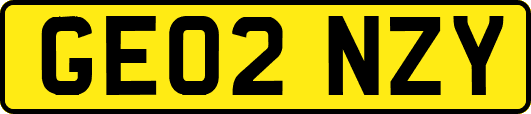 GE02NZY