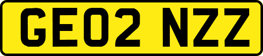 GE02NZZ