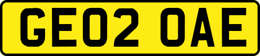 GE02OAE