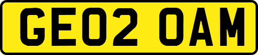 GE02OAM