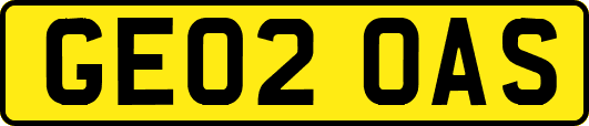GE02OAS