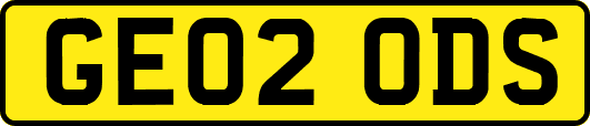 GE02ODS