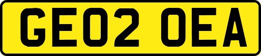GE02OEA