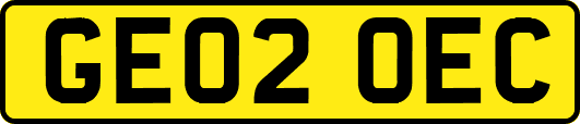 GE02OEC