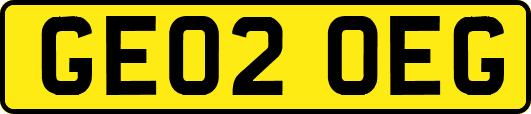 GE02OEG