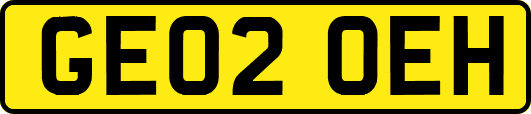 GE02OEH