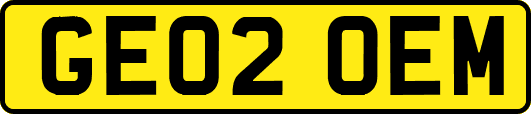 GE02OEM