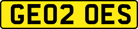GE02OES