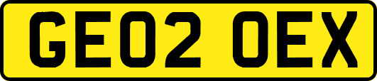 GE02OEX