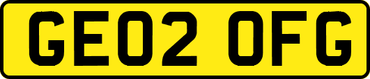 GE02OFG