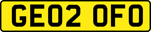 GE02OFO