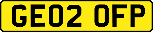 GE02OFP