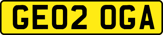 GE02OGA