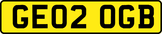 GE02OGB