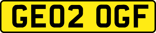 GE02OGF
