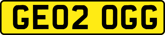 GE02OGG