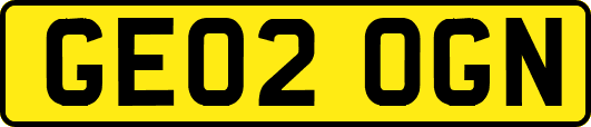 GE02OGN