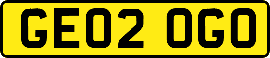 GE02OGO