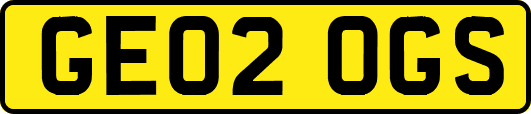 GE02OGS