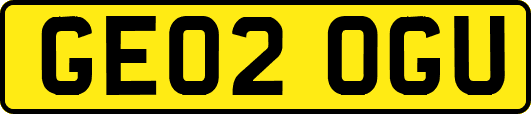 GE02OGU