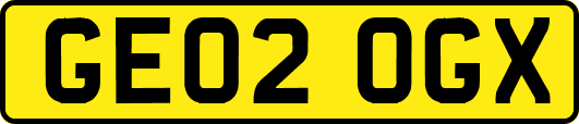 GE02OGX