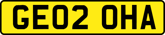 GE02OHA