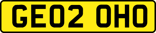 GE02OHO