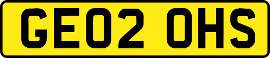 GE02OHS