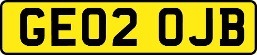 GE02OJB