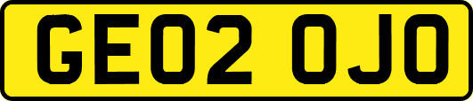 GE02OJO