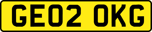 GE02OKG