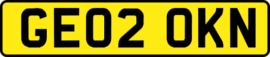 GE02OKN
