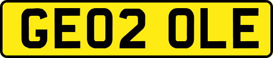 GE02OLE