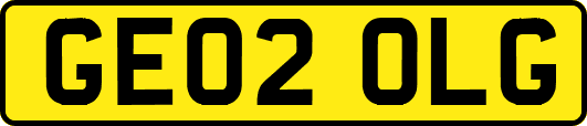 GE02OLG