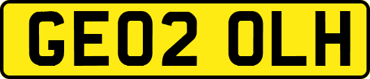 GE02OLH