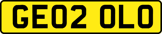 GE02OLO