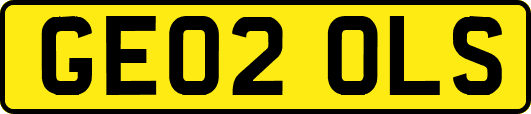 GE02OLS
