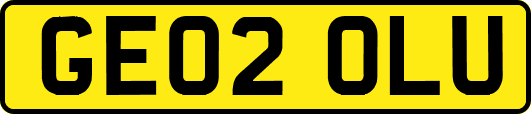 GE02OLU