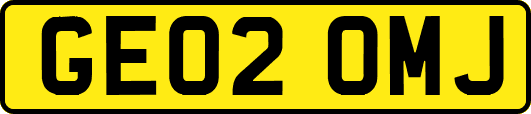 GE02OMJ