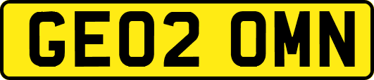 GE02OMN
