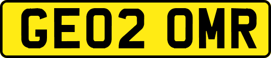 GE02OMR