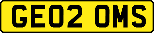 GE02OMS